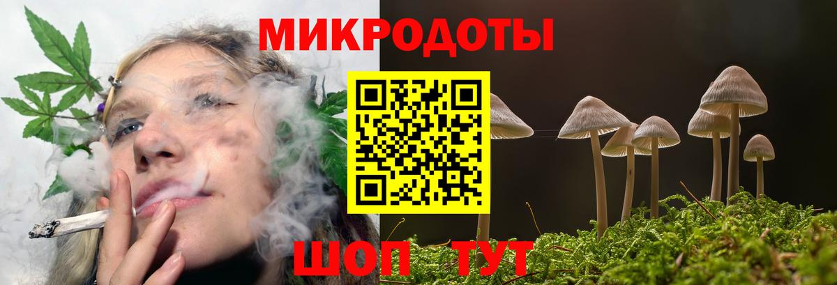 Псилоцибиновые грибы MAGIC MUSHROOMS  Галлюциногенные грибы Psilocybine cubensis  Бузулук  где найти   Вход с VPN 